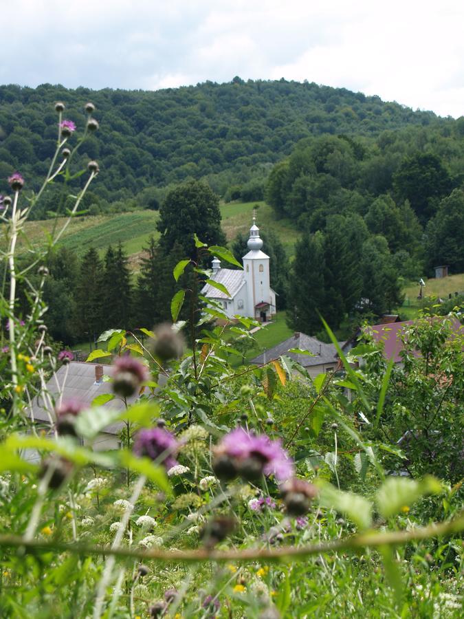 Ecolodge Novoselitsa  Exteriér fotografie