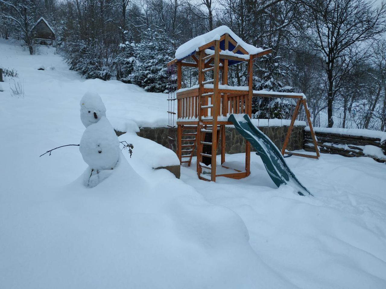 Ecolodge Novoselitsa  Exteriér fotografie